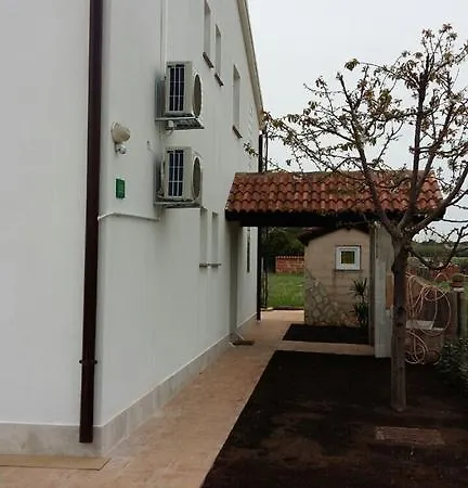 Summer Sc Apartman Póla